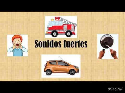 ¿Cómo se llama un sonido muy fuerte? Guía definitiva sobre la acústica del estruendo y sus términos