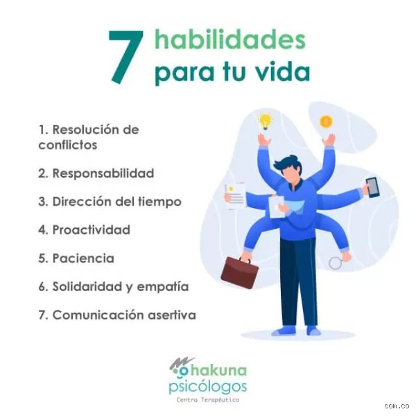 ¿Qué son las 7 habilidades?