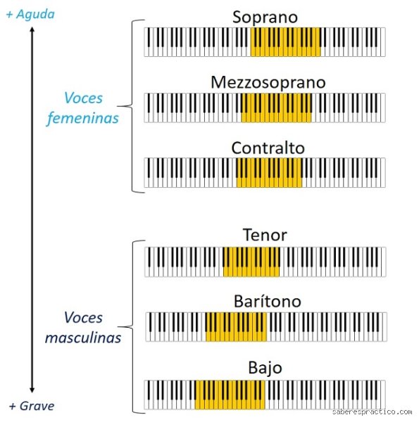 ¿Cuáles son los 4 tipos de voces para cantar?