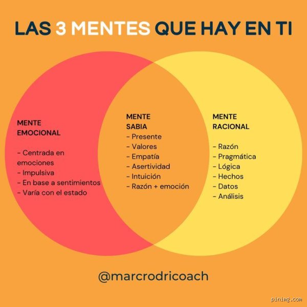 ¿Cuáles son los 3 tipos de mentes que definen nuestra forma real de pensar hoy?