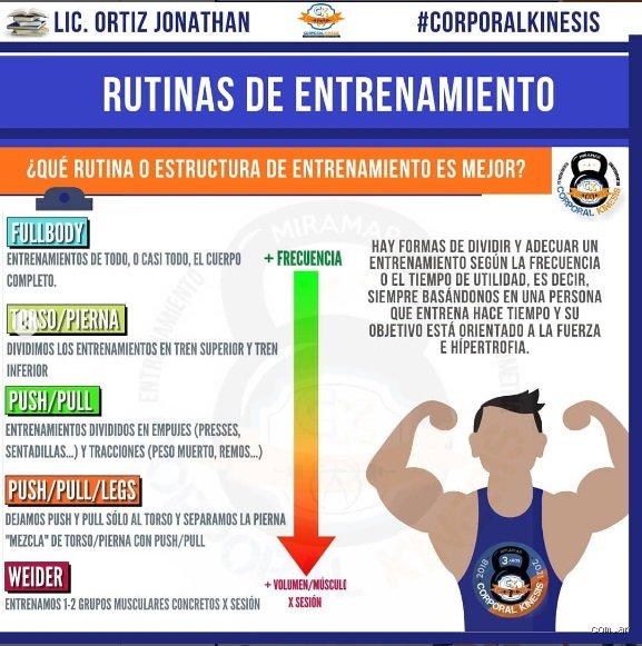 ¿Cuáles son los 3 tipos de entrenamiento de fuerza?