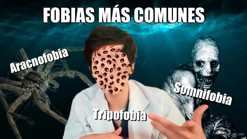 ¿Cuál es la fobia más aterradora del mundo y por qué desafía toda lógica humana?
