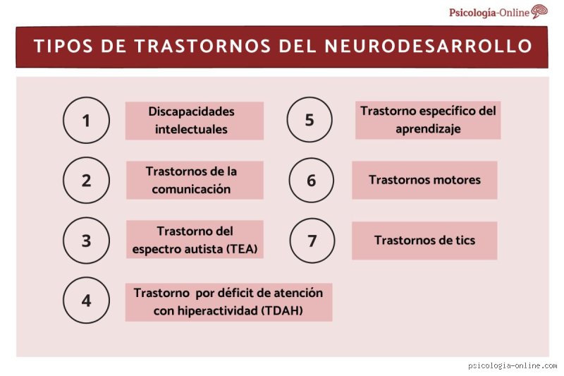 ¿Cuáles son los 7 trastornos del neurodesarrollo?