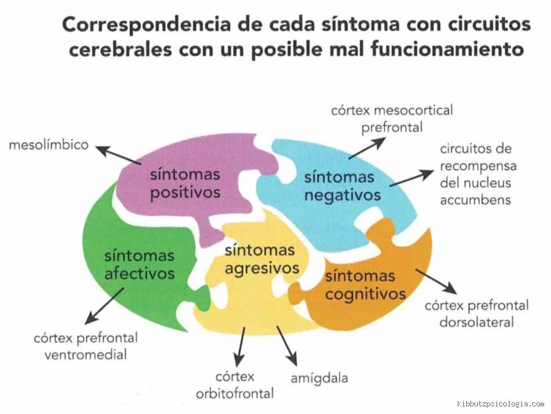 La realidad fragmentada: Desentrañando los efectos a largo plazo de la esquizofrenia en el tejido de la vida cotidiana