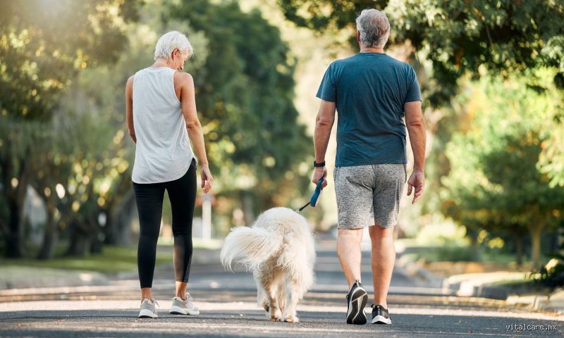 ¿Cuando no tiene la presión alta es bueno ir a caminar para la salud cardiovascular general?