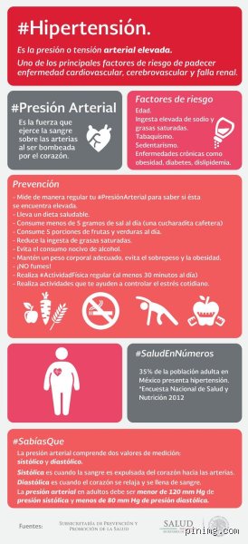 ¿Las naranjas aumentan la presión arterial o son el remedio natural que todos necesitamos hoy?