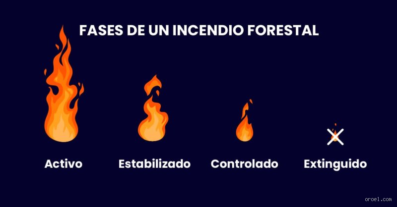 Entender la química del desastre: ¿Cuáles son los 3 estados del fuego y por qué ignorarlos es un error fatal?