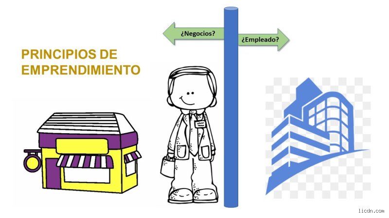 ¿Cuáles son los 5 principios del emprendimiento?