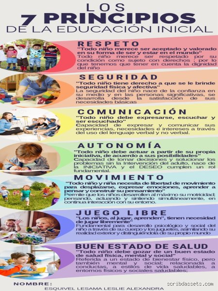 ¿Cuáles son los 7 principios de la educación que transforman aulas grises en verdaderos ecosistemas de aprendizaje?