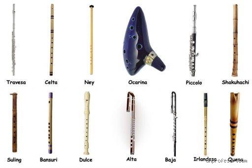 Descubre cuáles son los cinco tipos de flautas que definen el panorama musical actual y su historia