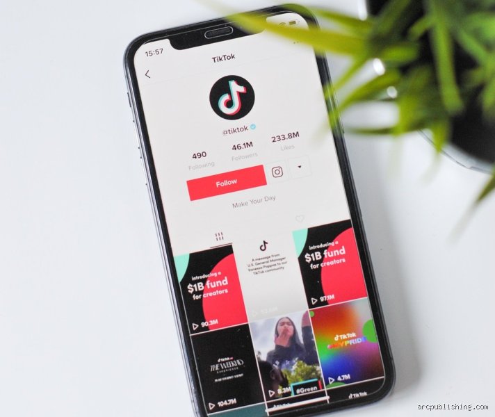 ¿Cuántos seguidores debo tener en TikTok para ganar dinero hoy en día sin morir en el intento?