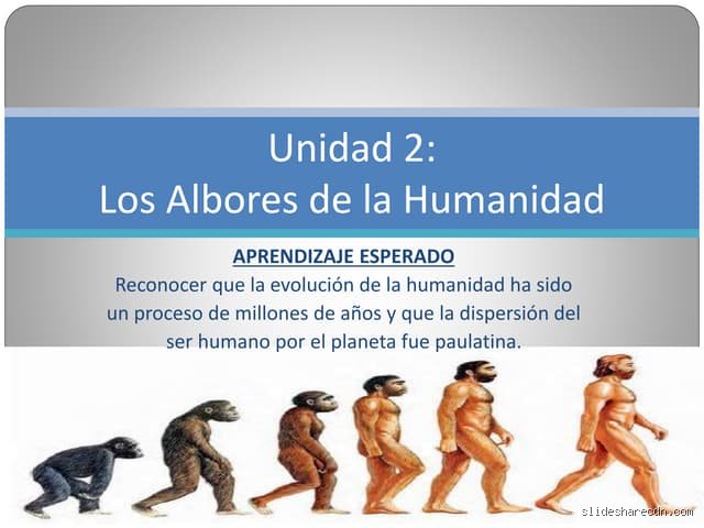 Desentrañando los albores: el verdadero significado técnico, poético e histórico del concepto que marca cada inicio