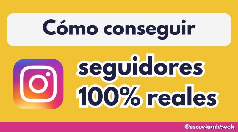 ¿Cómo puedo obtener 100 seguidores gratis en Instagram?
