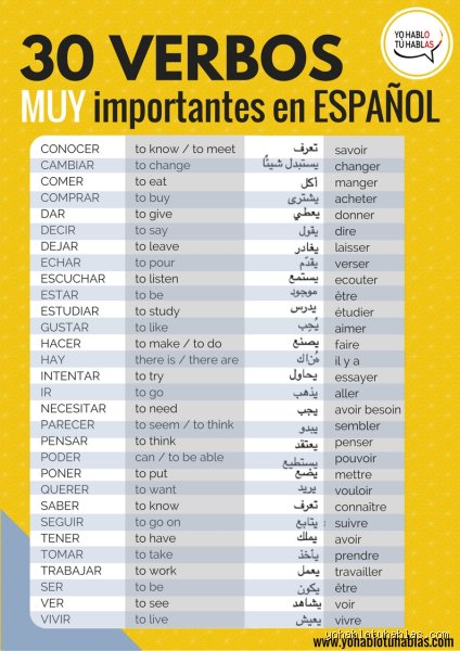 ¿Verbos más importantes del español?: la radiografía verbal que destruye los mitos del aprendizaje