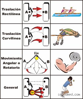 Guia definitiva para entender cuales son los 10 tipos de movimientos en la fisica moderna