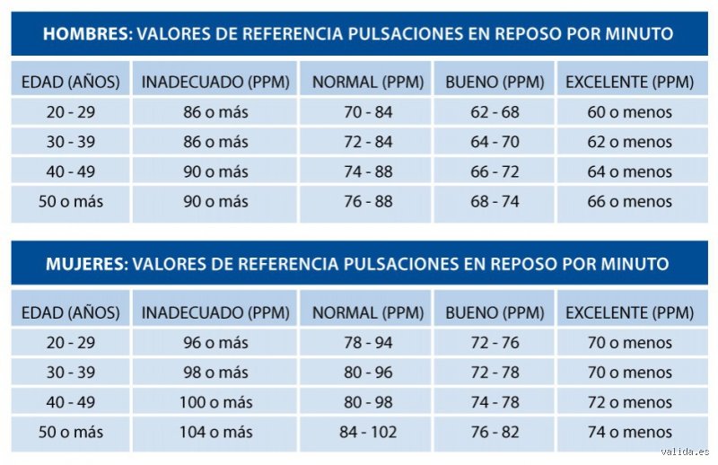 ¿68 latidos por minuto es un ritmo rápido o lento? Descubre qué dice tu corazón realmente