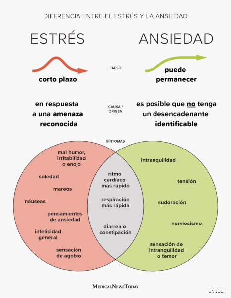 ¿Cómo saber si es presión o ansiedad? Guía definitiva para diferenciar la exigencia externa del colapso emocional interno