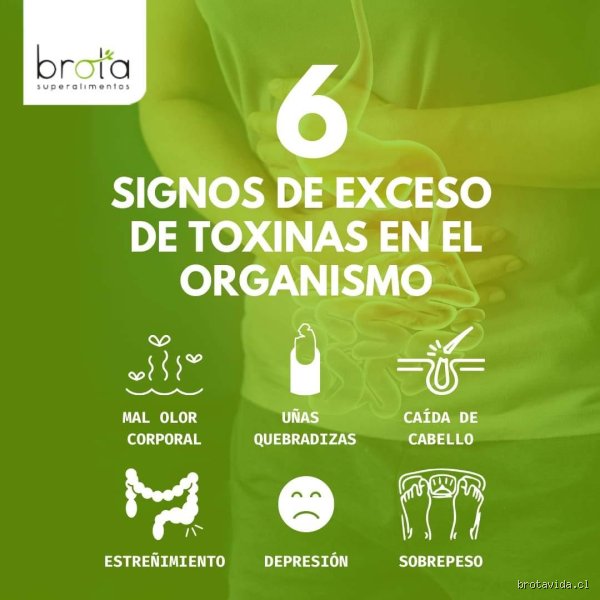 ¿Cómo saber si las toxinas están saliendo de tu cuerpo? Señales reales, mitos del marketing y la verdad biológica
