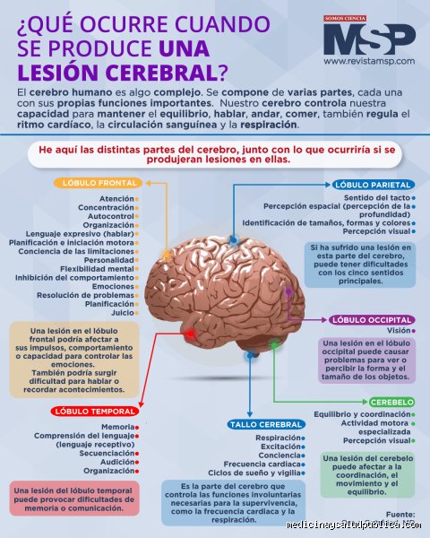 ¿Cómo saber si tengo problemas en mi cerebro? Señales silenciosas y la complejidad de la arquitectura neuronal moderna