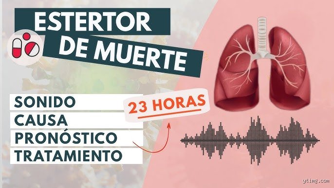 El estremecedor sonido del final: ¿Cómo se llama el gemido de la muerte y qué significa realmente?