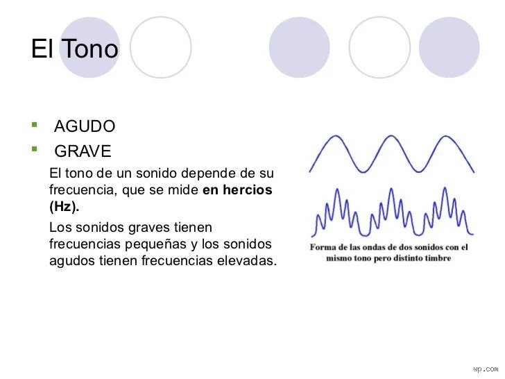 Cómo se mide el tono muscular y por qué tu fisioterapeuta a veces duda de su propia mano