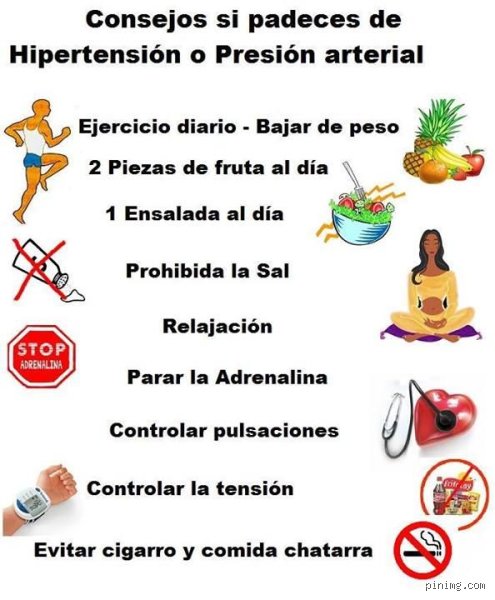 ¿Cómo tranquilizar la presión alta? Guía clara para recuperar el control sin caer en pánico