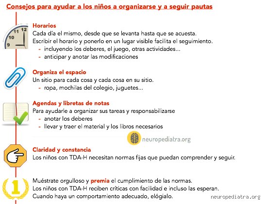 ¿Cómo tratar el TDAH en casa? Estrategias disruptivas para transformar el caos cotidiano en un hogar equilibrado
