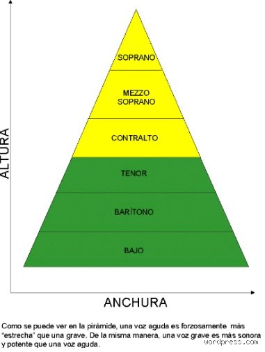 ¿Cuál es la escala de las voces humanas y por qué entender su arquitectura sonora lo cambia todo para el músico actual?