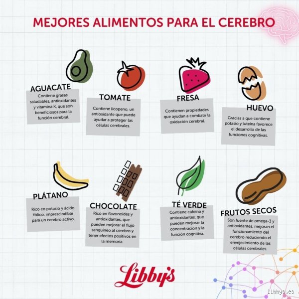 ¿Cuál es la fruta de la memoria? El secreto azul de las antocianinas y el fin de los olvidos