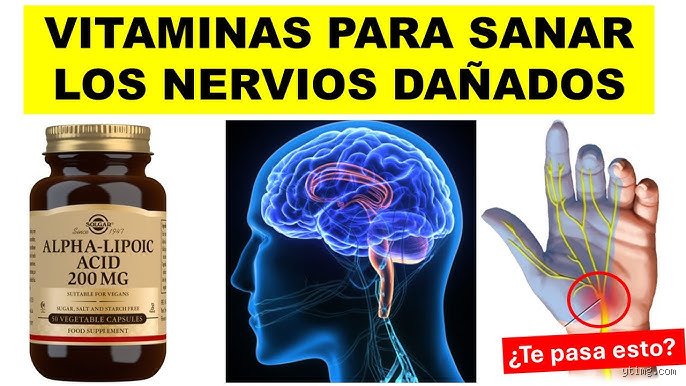 ¿Cuál es la mejor vitamina para fortalecer el sistema nervioso? Guía médica para blindar tus neuronas