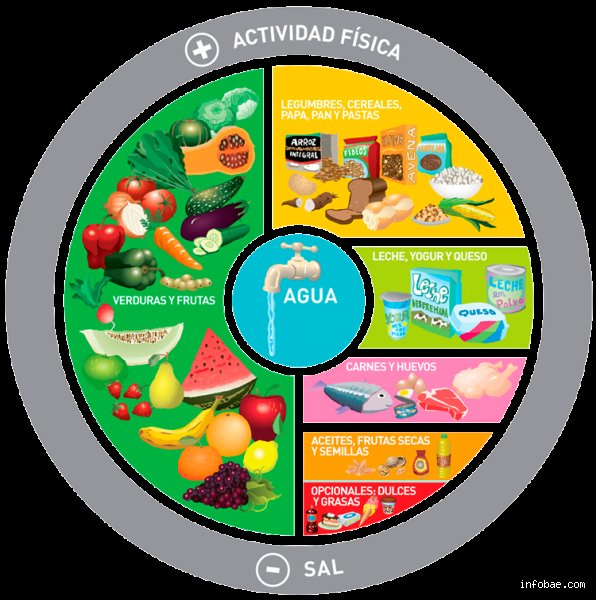 ¿Cuáles son 4 alimentos que fortalecen el sistema inmunológico?