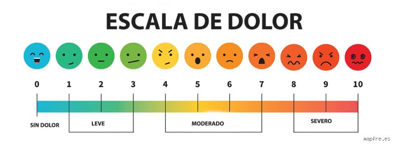 ¿Cuáles son las 4 categorías de dolor? Un mapa definitivo para entender por qué nuestro cuerpo lanza señales de alarma