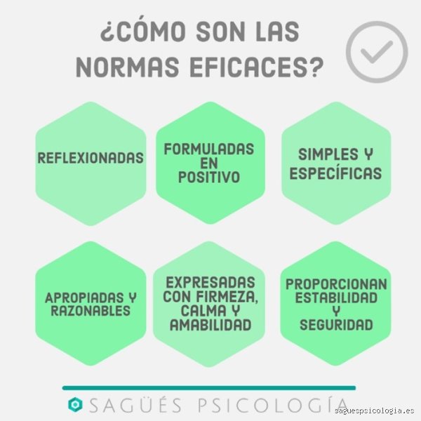 ¿Cuáles son las 4 normas de conducta?