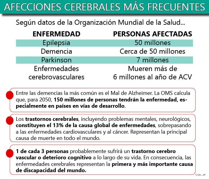 ¿Cuáles son las enfermedades cerebrales más comunes? Un mapa realista sobre los fallos del sistema operativo más complejo del cuerpo