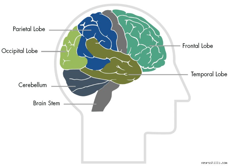 Más allá de un simple golpe: ¿Cuáles son las lesiones cerebrales más comunes y cómo identificarlas a tiempo?