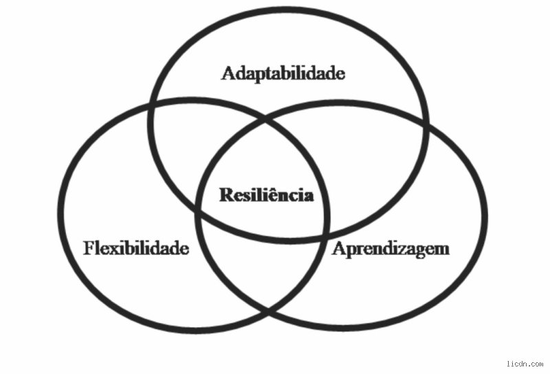 ¿Cuáles son los 3 pilares de la resiliencia?