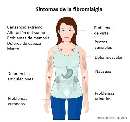 ¿Cuáles son los peligros de la fibromialgia? (Parte I: El impacto sistémico y el laberinto del dolor crónico)