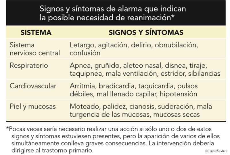 ¿Cuáles son los signos y síntomas de la insuficiencia respiratoria y cómo identificarlos antes de que la situación sea crítica?