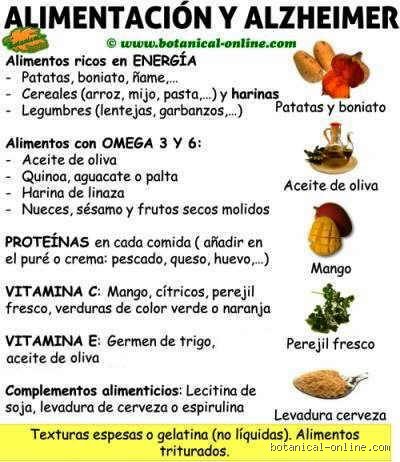 La batalla en el plato: ¿Cuáles son tres alimentos que previenen el Alzheimer y cómo blindan tus neuronas?