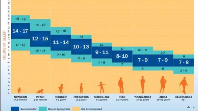 La arquitectura del descanso: ¿Cuántas horas diarias de sueño necesita un adulto para mantenerse alerta en un mundo que nunca apaga la luz?