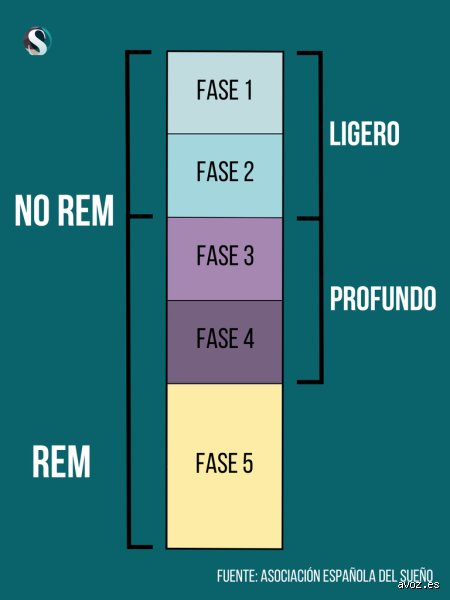 ¿Cuánto debe dormir una persona en sueño REM? La verdad científica sobre el descanso más misterioso de tu cerebro