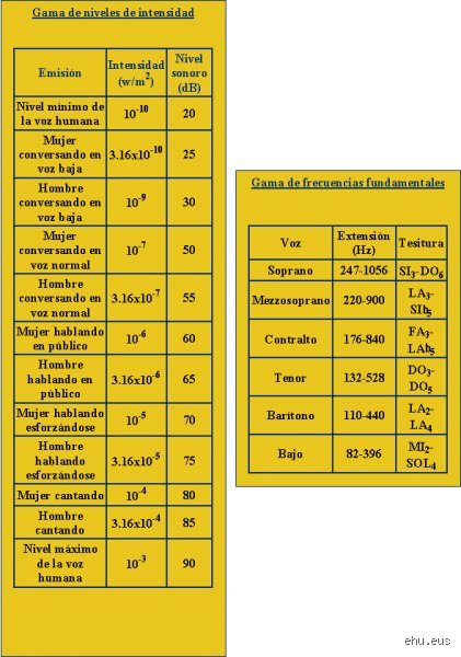 La anatomía del infinito vocal: ¿Cuántos tonos tiene la voz y qué define nuestra capacidad de emitirlos?