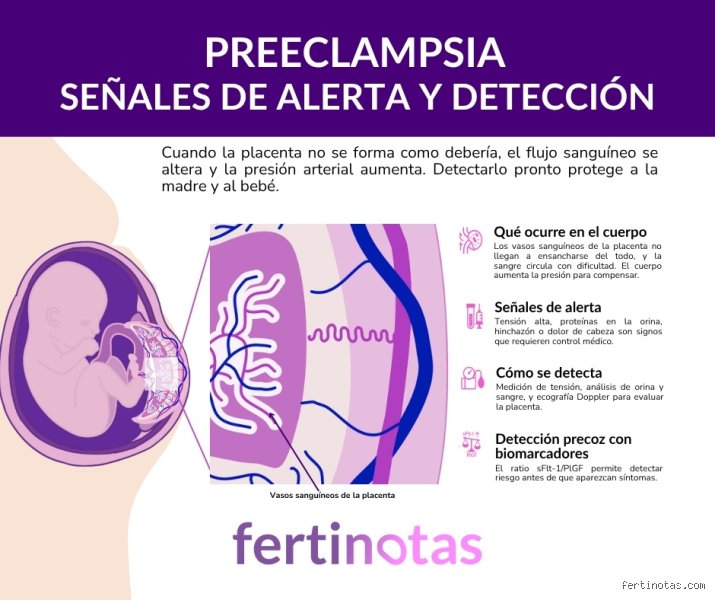 ¿Diferencia entre hipertensión y preeclampsia? Guía médica para entender por qué la presión alta no siempre cuenta la misma historia en el embarazo