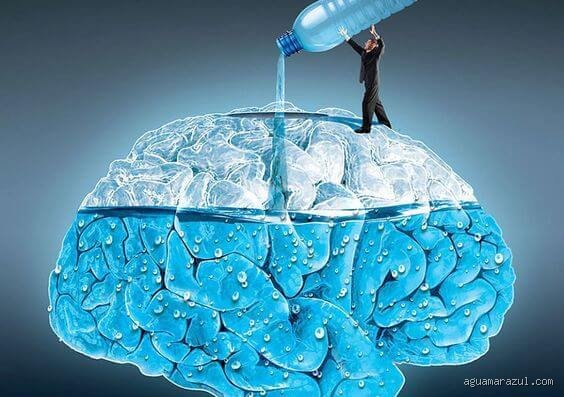 ¿El 70% del cerebro es agua? Desmontando el mito de la esponja cerebral y la realidad de tu hidratación neuronal