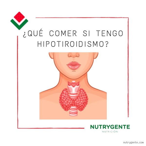 ¿El huevo es malo para el hipotiroidismo? Desmontamos los mitos nutricionales sobre la tiroides slow