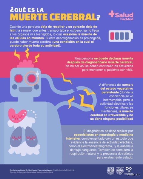 ¿Pueden moverse las personas con muerte cerebral? La inquietante realidad tras los reflejos espinales y el signo de Lázaro