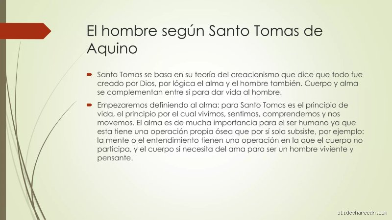 ¿Qué dice Santo Tomás del hombre?