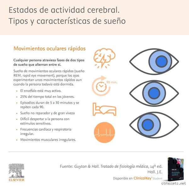 La Arquitectura Oculta de la Noche: Desentrañando el Sueño Profundo y el Sueño REM (Parte 1)