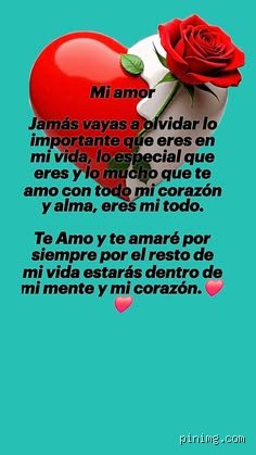 La anatomía de un enigma cultural: ¿Qué significa "32 corazones 79 vidas"? (Parte I)