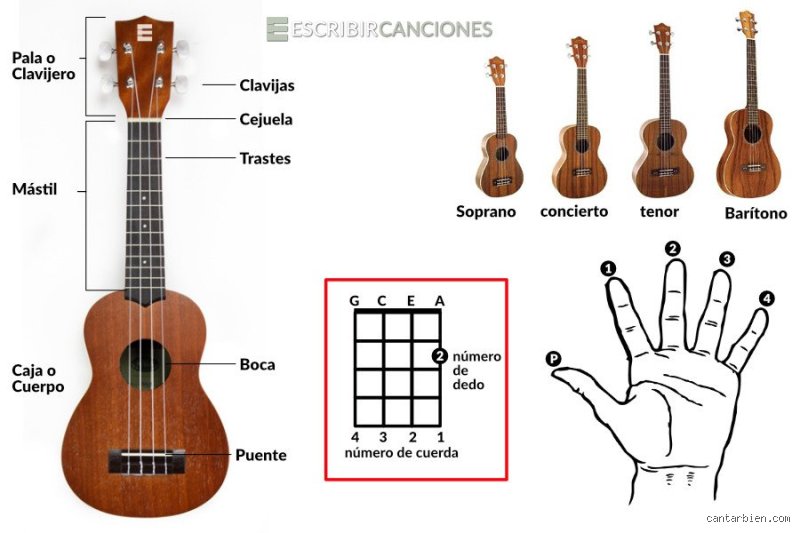 ¿Qué instrumento es el más fácil de aprender para empezar en el mundo de la música hoy?